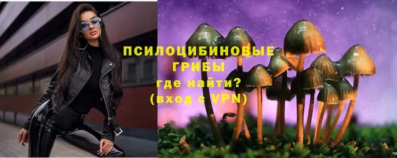 наркотики  Динская  Галлюциногенные грибы Magic Shrooms 